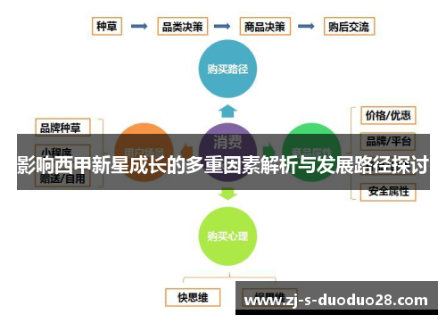 影响西甲新星成长的多重因素解析与发展路径探讨 影响西甲新星成长的多重因素解析与发展路径探讨