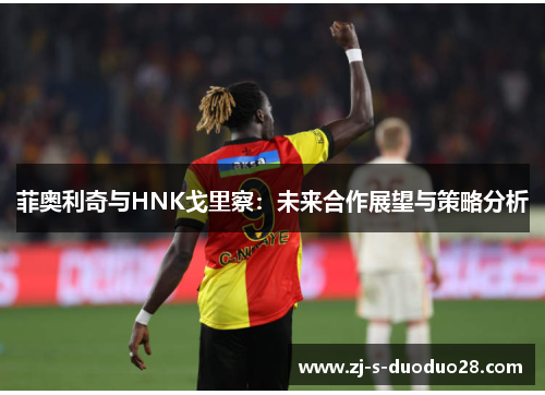 菲奥利奇与HNK戈里察:未来合作展望与策略分析 菲奥利奇与HNK戈里察:未来合作展望与策略分析