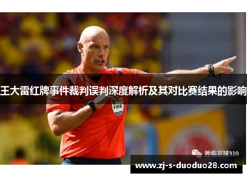 王大雷红牌事件裁判误判深度解析及其对比赛结果的影响